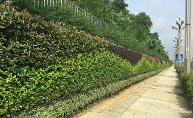 甘肅新時代園林工程 企業簡介