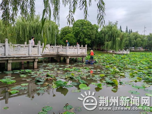 緊急提醒 荊州已出現(xiàn) 千萬別碰