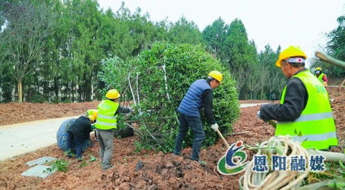 假期不停工，大梁山城市公園建設加速推進體育場地設施工程