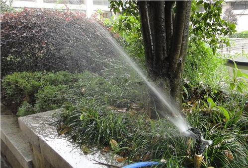 昆明考綠化工證及體育場地設施工程施工指南 難度、費用與準入解析